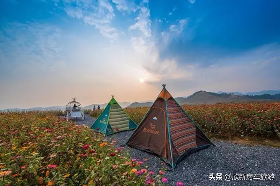 欣新房车百科,欣新新能源房车