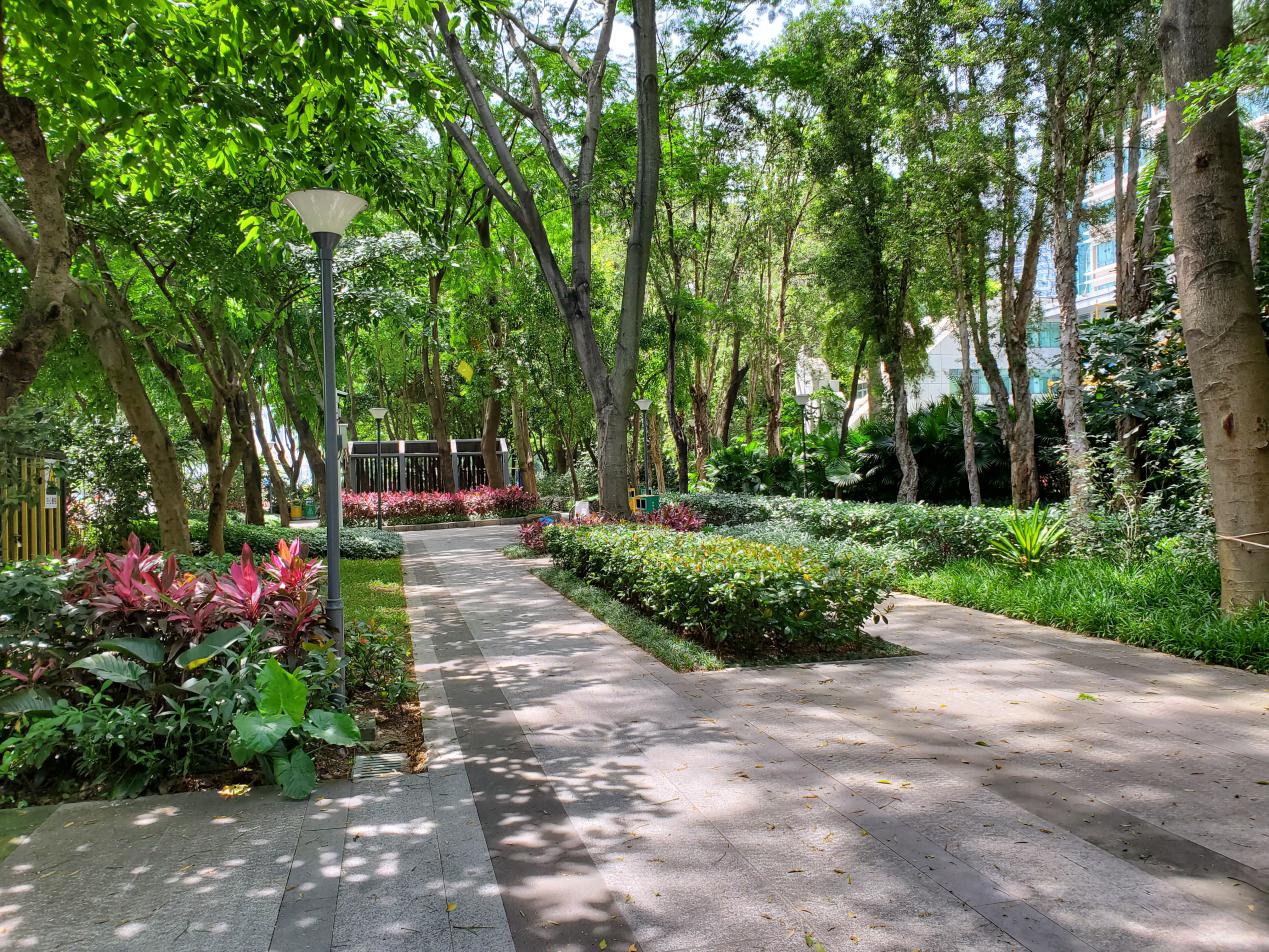 红米k30pro深度体验,红米k20pro尊享版测评科技美学