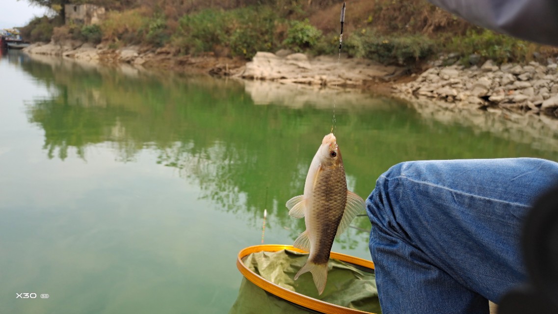 鱼把线切了鱼钩会自己掉吗,鱼线断了鱼钩在鱼嘴里会死不
