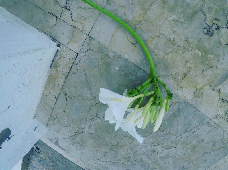 食遇S小姐|最走心的塞班攻略（附海量美图）