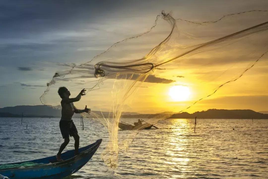 开捕啦3：黄鱼金灿灿，大黄鱼小黄鱼你爱哪一款？