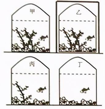 七上生物绿色植物的呼吸作用复习,高一生物必修一呼吸作用习题讲解