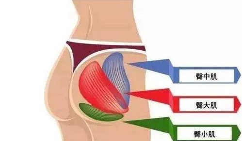 翘臀怎么训练最有效,女生翘臀锻炼最有效方法