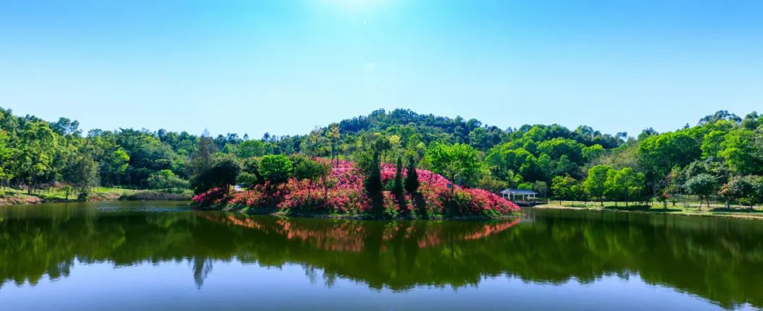 深圳赏月推荐,龙岗中心赏月
