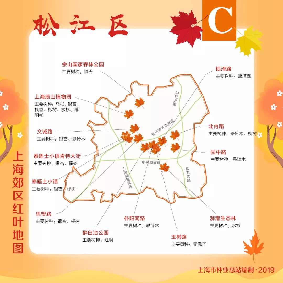 赏枫地图,赏红叶正当时