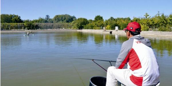 4个适合农村创业好路子,发现几个适合农村创业的好路子