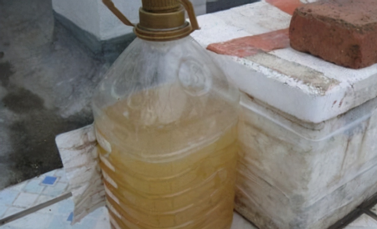 简单实用低成本自制养花肥料,用废物种菜种花