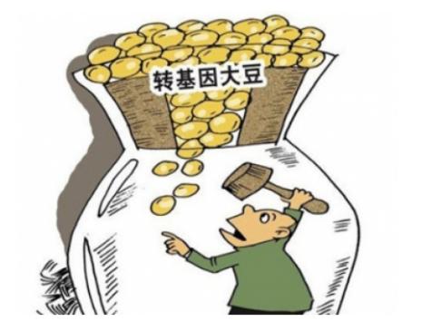 天天吃的这种油,进口原料,国外竟然禁止食用