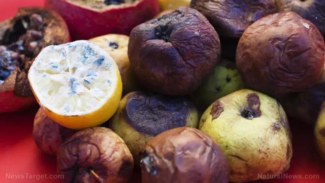 哪种牌子的益生菌好吸收又健康,便宜益生菌和贵的益生菌的区别