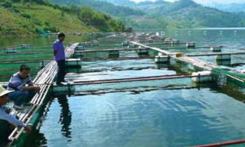 养殖水产测量水质的仪器,水产养殖电子测水质仪器