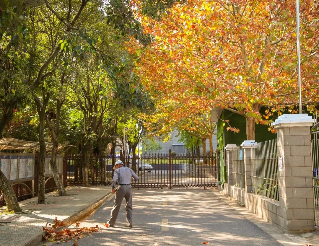 安徽13所一本大学名单,安徽省高校简介