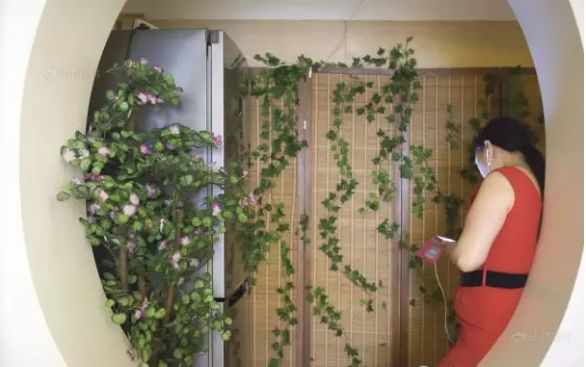 中国人去欧洲的利弊,中国人出国后感受