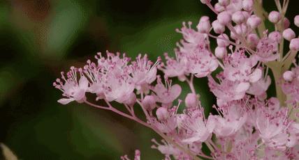 为了别人家的孩子，她操碎了心！石家庄这位“最美”医生，感动了所有人