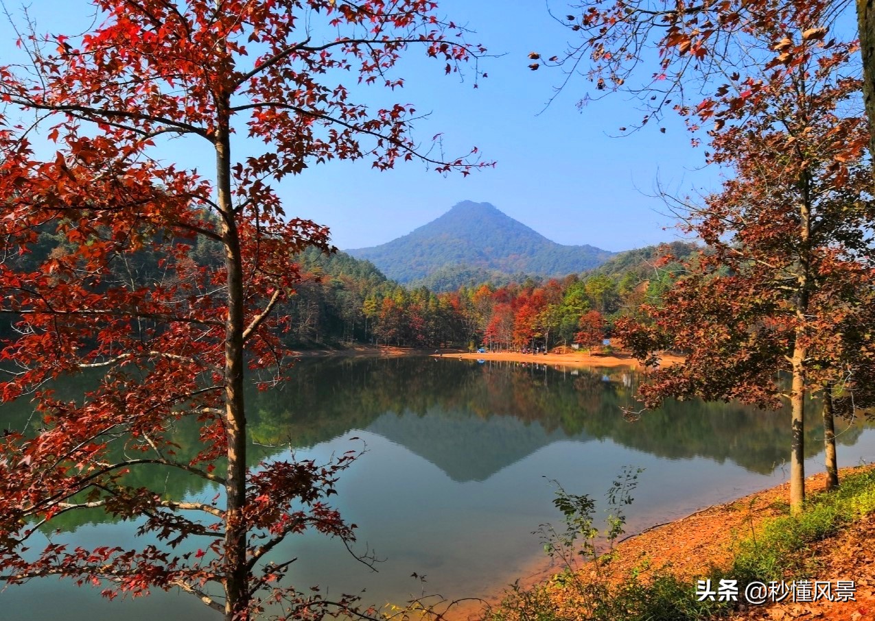 杭州，也有一个“九寨沟”，它依山傍水而且能感受一叶知秋的美丽