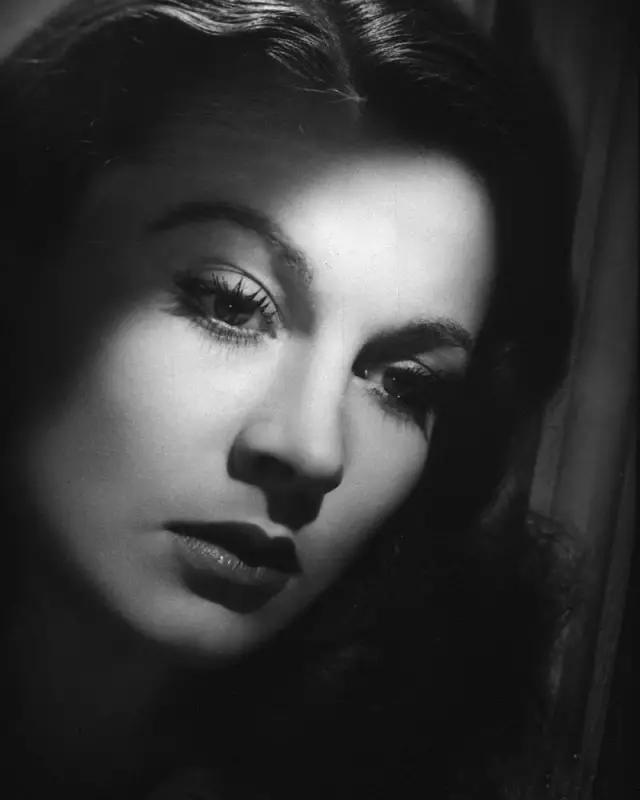 绝代佳人费雯丽故事梗概,费雯丽绝色佳人