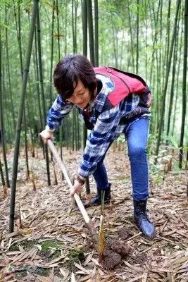 人间四月天恰逢春意浓,人间四月天暮春时节