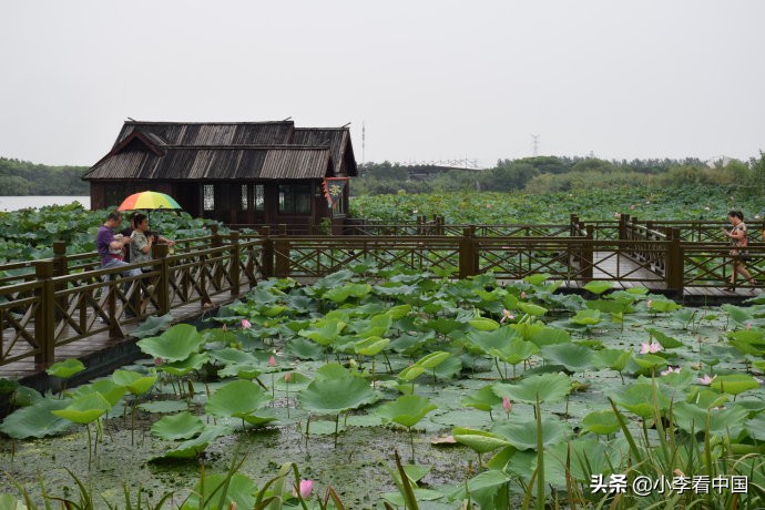 江苏常熟沙家浜现状,江苏常熟沙家浜景区演出