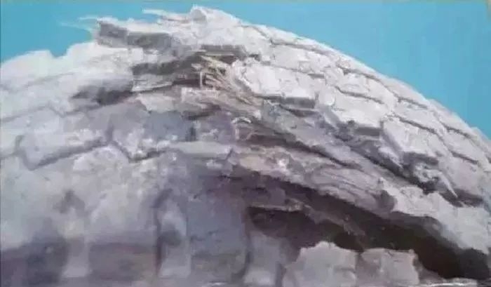 卡车轮胎侧面的破损怎么修复,货车轮胎胎壁坏是什么原因