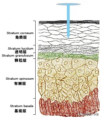 运动可以让脸上皮肤变好吗,脸上敷什么可以让皮肤变好