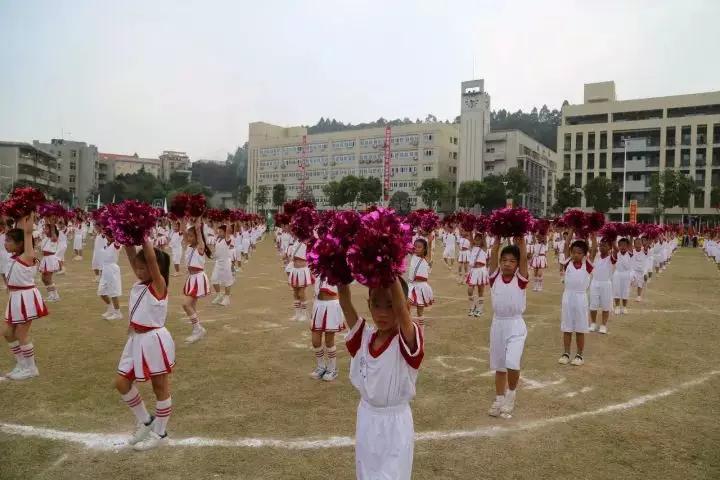 书香小学在龙华新区排名怎么样,深圳龙华书香小学好吗