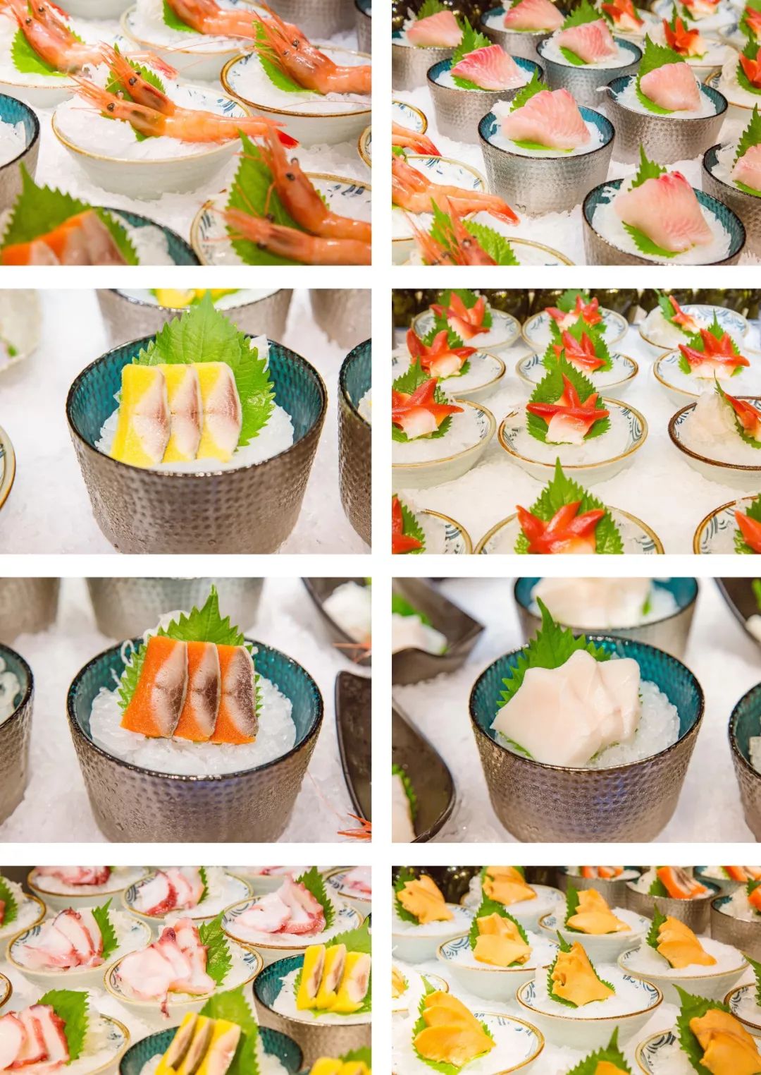 象拔蚌拼鹅肝三文鱼刺身拼盘,象拔蚌三文鱼鹅肝刺身拼盘