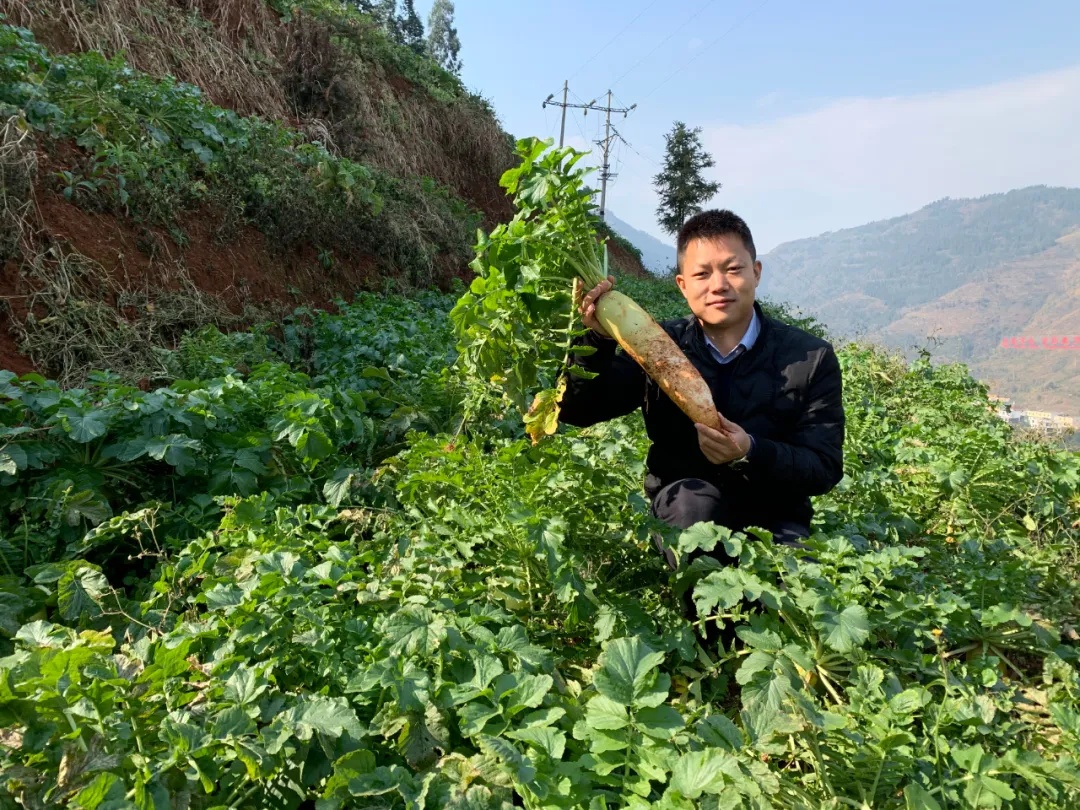 阿里p8是很厉害吗,阿里p8推荐