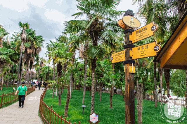 昆明富人住哪个区,住在昆明翠湖是怎样的体验