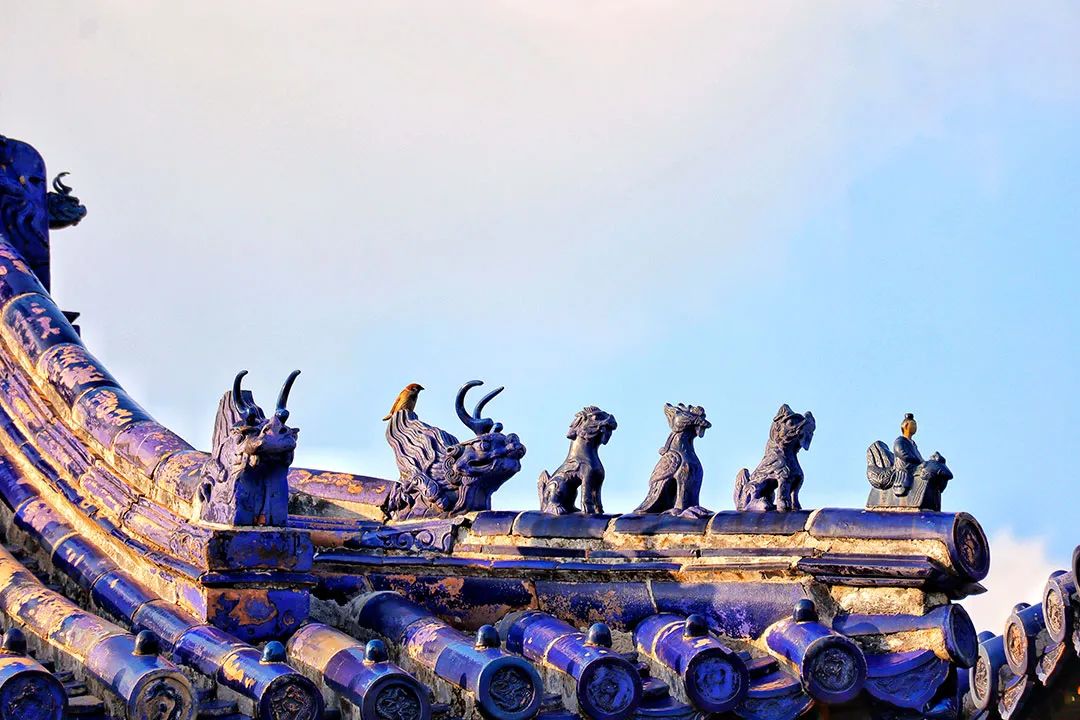 环球影城-皇家祭坛-宣南文化,地铁7号线串起最有味道的北京南城