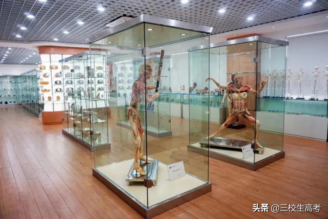 上海立达专升本报名条件,立达学院游学