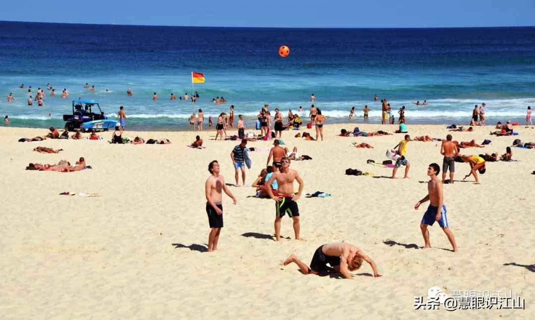 悉尼邦迪海滩,悉尼邦迪海滩新闻