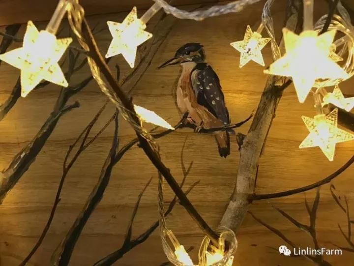 北京LinlinsFarm餐厅将田园搬进了都市，168元双人精选牛排餐