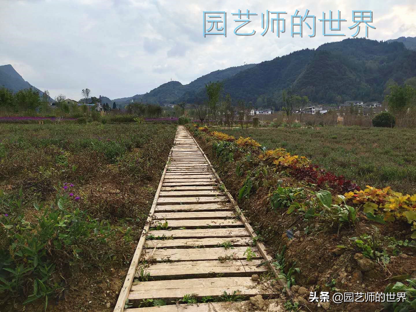 花园科学实验,花园案例及解析