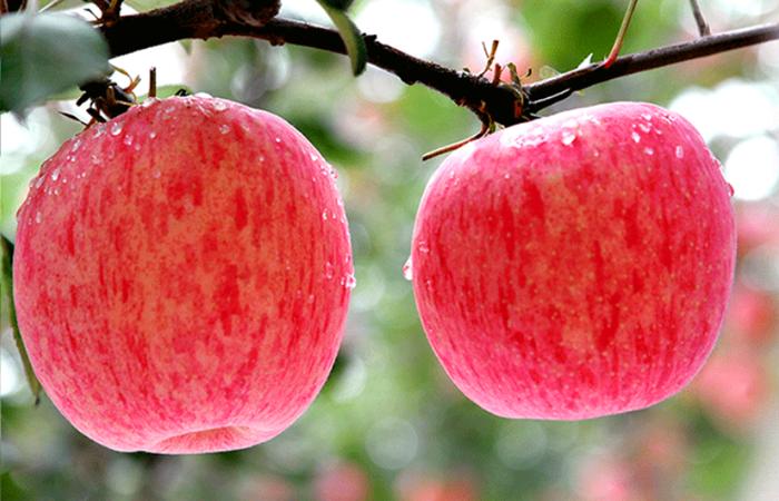 当你“穿越”到秦朝，肯定胖不起来，因为只能吃“它”，涨知识了