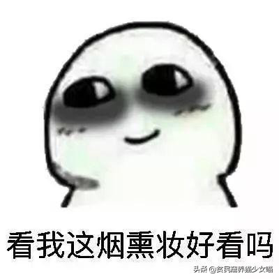 猫咪在线辟谣,辟谣猫咪蒜瓣毛