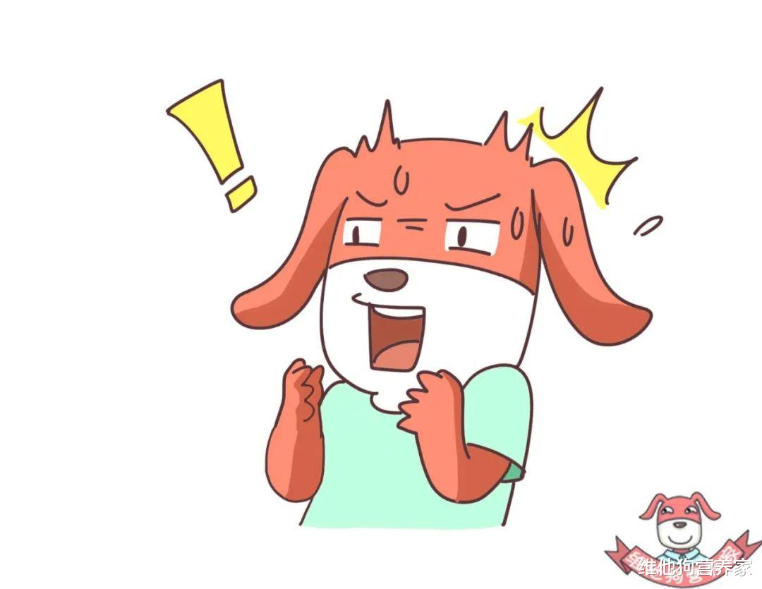 水果代餐减肥可以吗,水果代餐怎么减肥