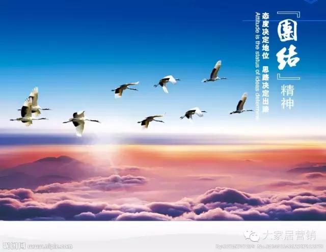 谭晓平谈执行力,如何打造一个向上的团队精神