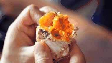 澳洲抓超大青蟹,澳洲青蟹捕捉