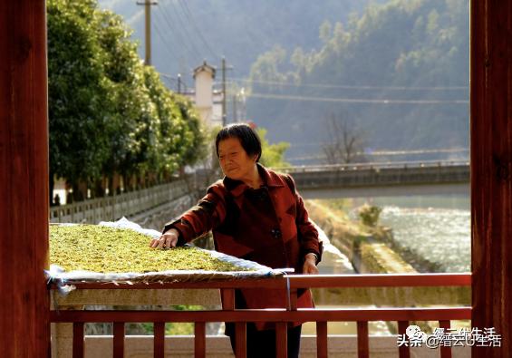 缙云轩辕故里,缙云我的故乡