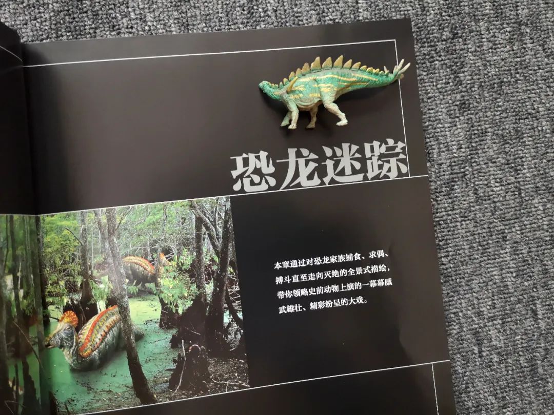 适合孩子看的恐龙科普书,适合5岁孩子看的恐龙科普书