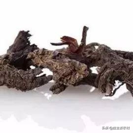 香料的正确使用方法和注意事项,卤水加桂皮的正确方法