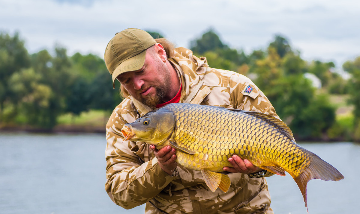 美国红鱼濒临灭绝,在美国把野生保护动物带回中国
