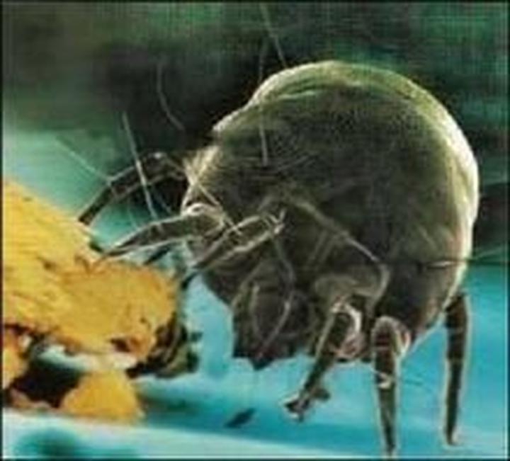 在看不见的地方下功夫,在看不见的地方讲究才是真讲究