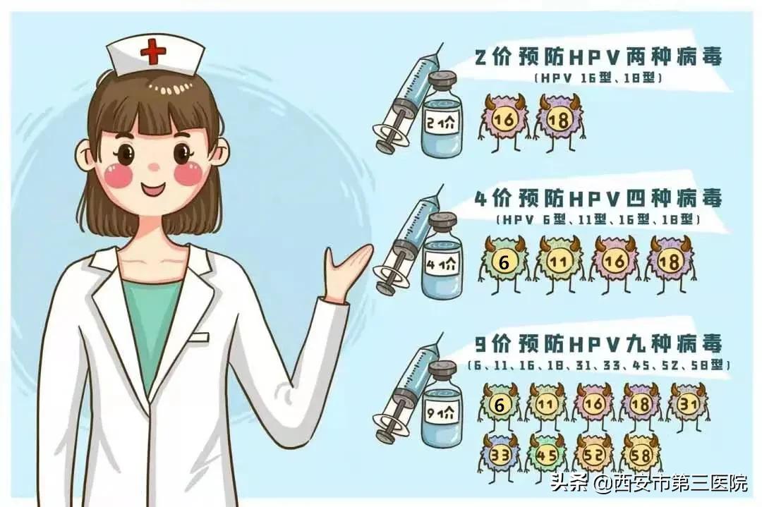 hpv健康科普这几类人你要多注意,hpv检测女性