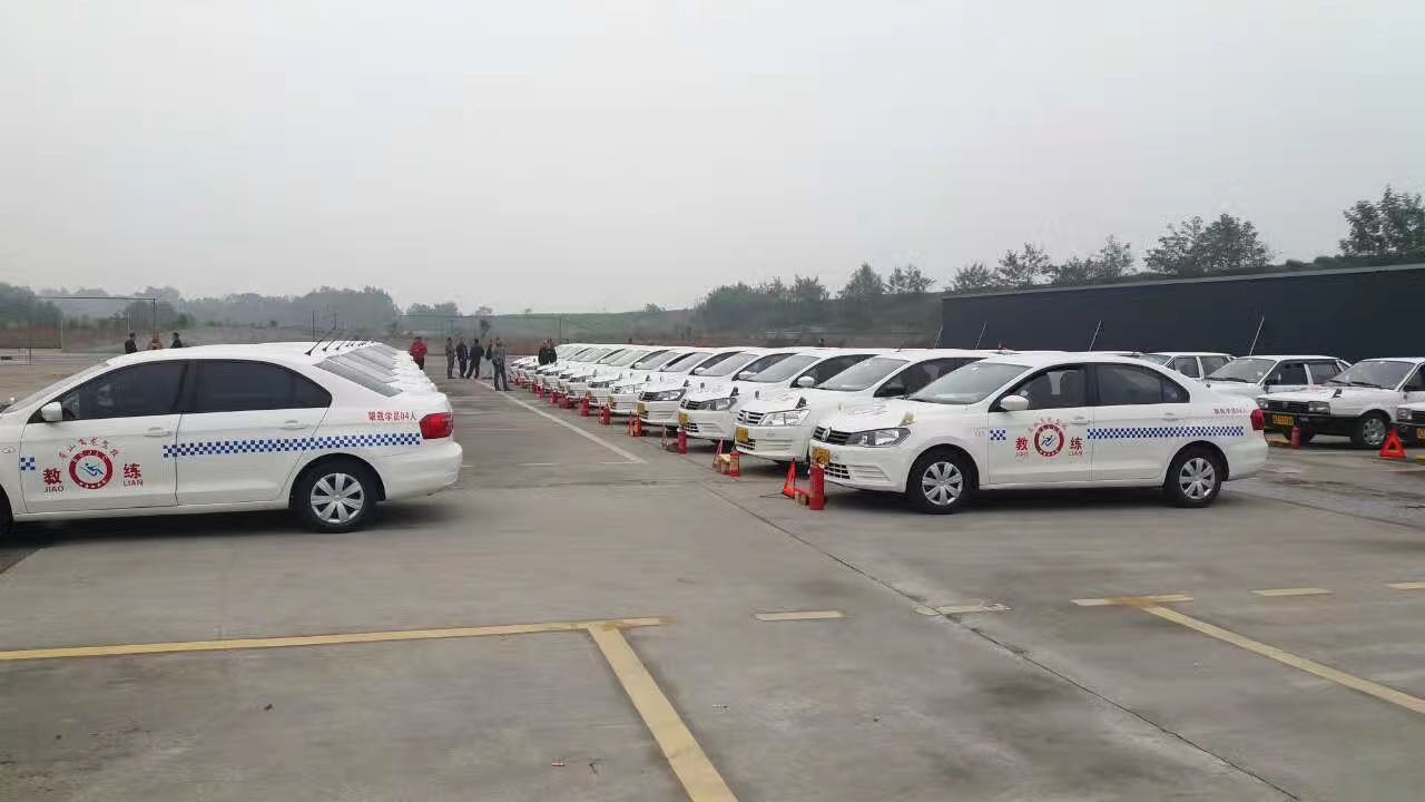 飞越驰骋,龙马精神