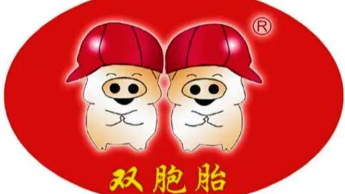 双胞胎集团江西民企第一,双胞胎集团在江西哪里有