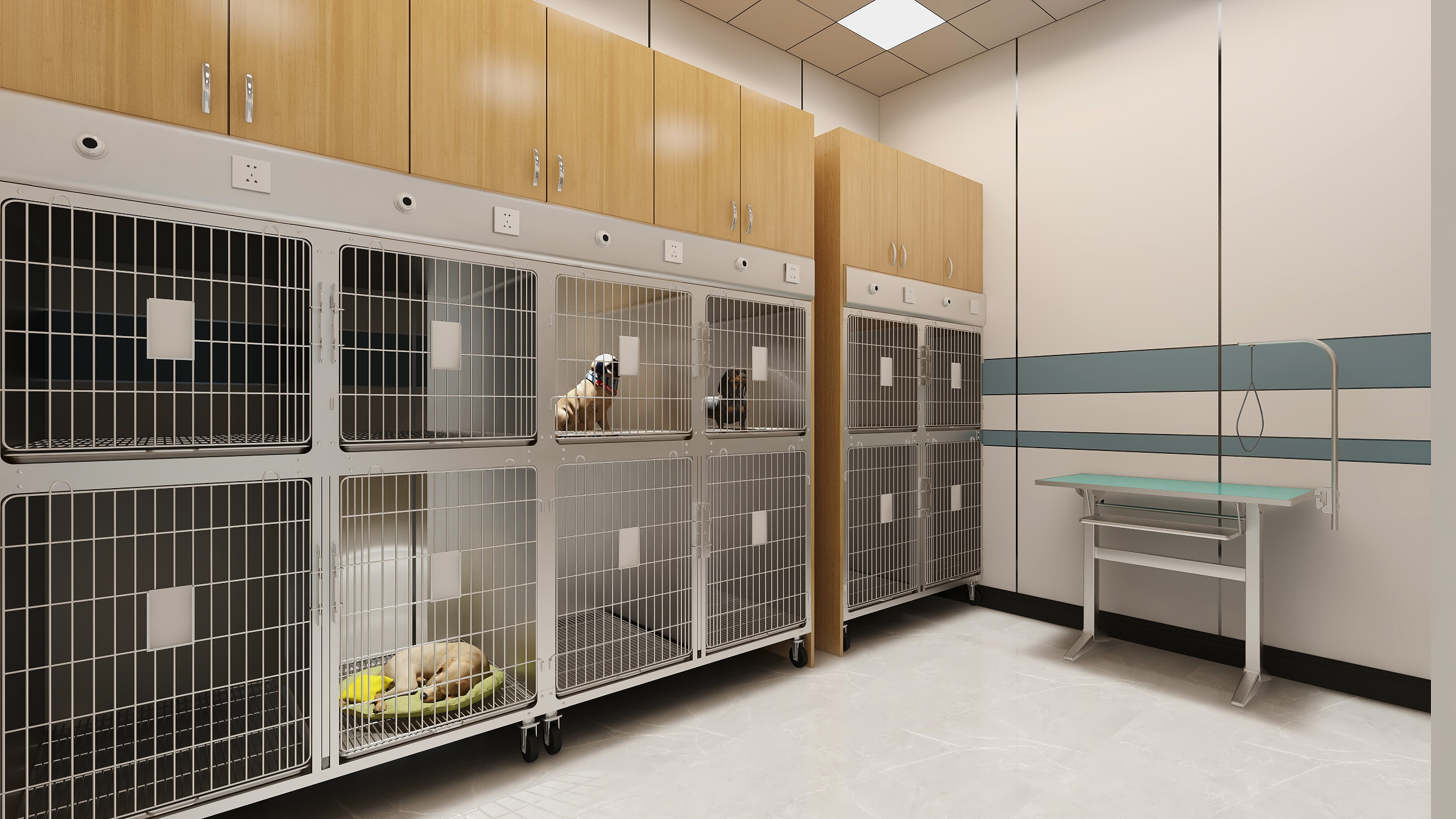 开宠物医院赚钱吗,开宠物医院需要什么条件