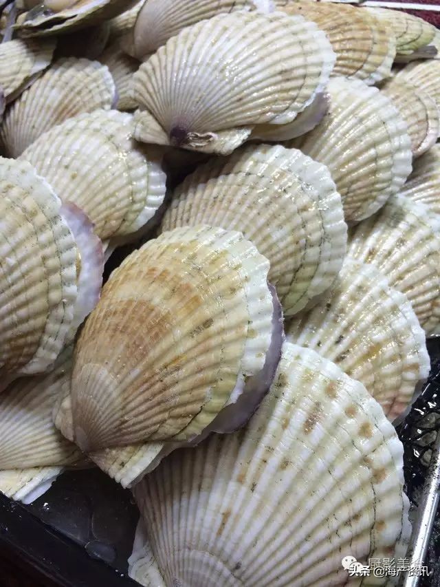 这些诱人的美食你吃过吗,世界上顶级海鲜大全你吃过几种