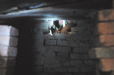 老妇人被性侵事件,69岁老妇被侵害十年后真凶落网