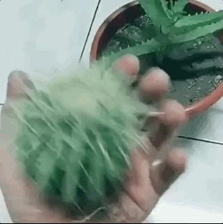 盘它抢先版演唱视频,盘它抖音版