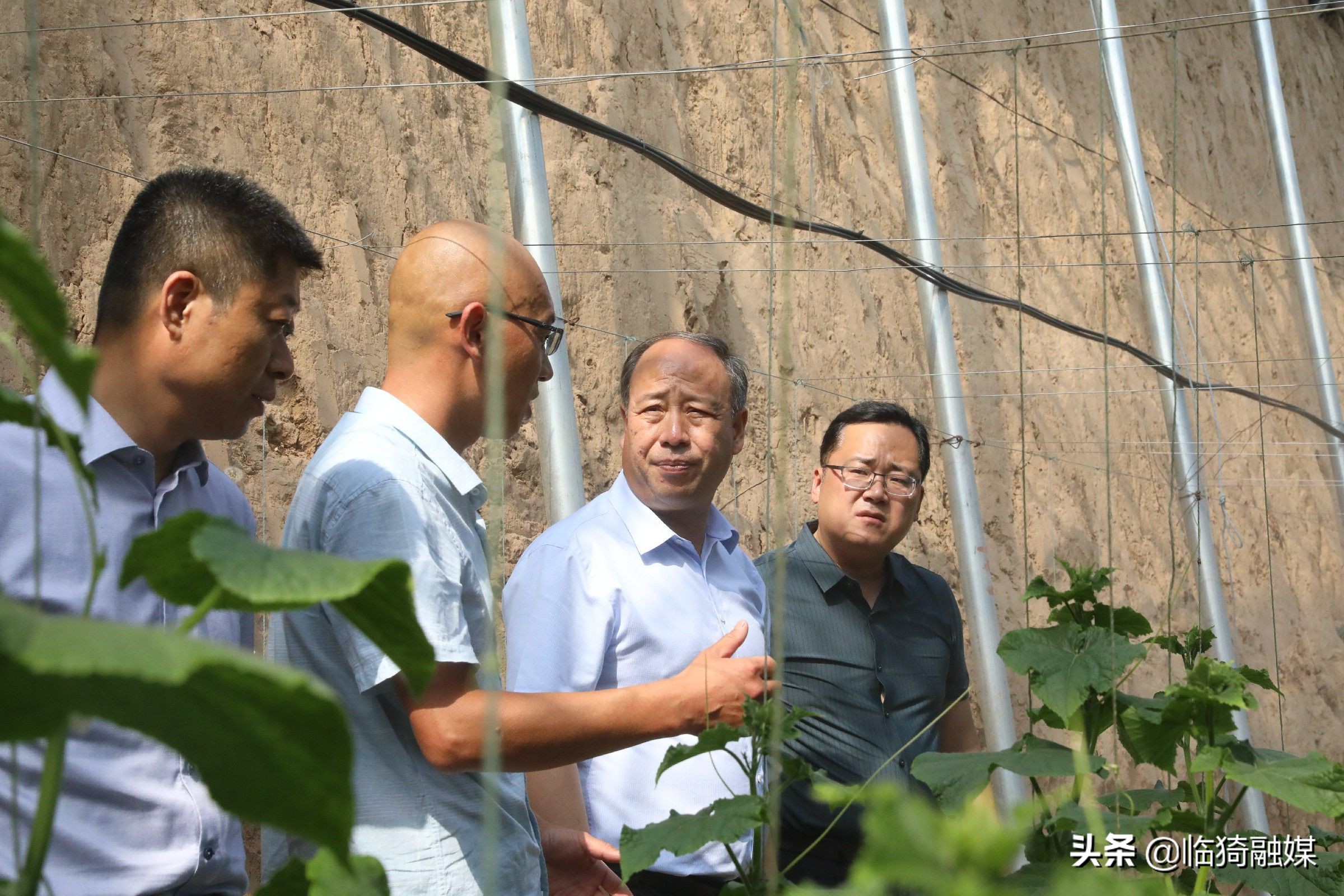 靳国全公示,靳国全县委副书记